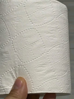 清风有芯卷纸金装4层140克*10卷：品质生活，从细节开始