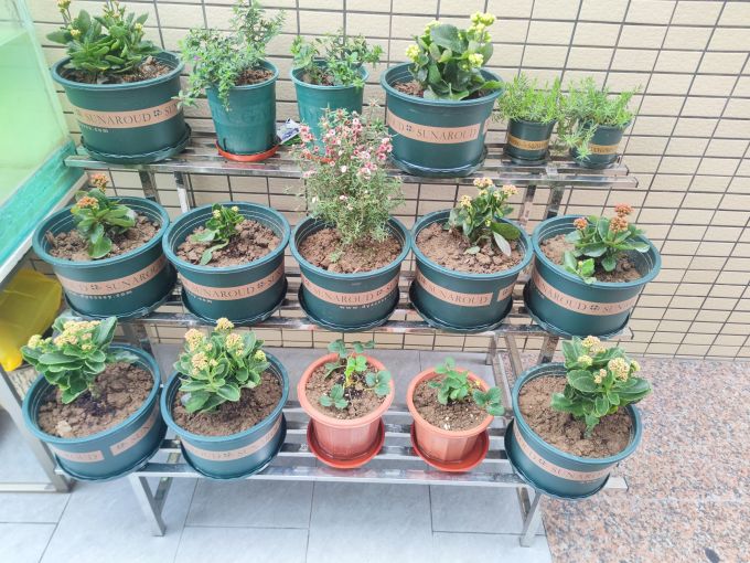 花架/装饰架