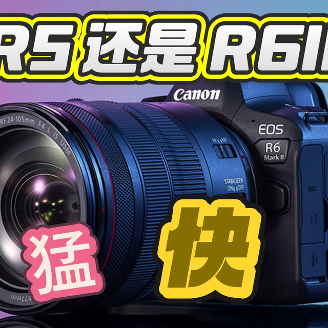 要快还是猛？佳能R5"像素猛男"还是R6 II"连拍快枪手"全都要吧