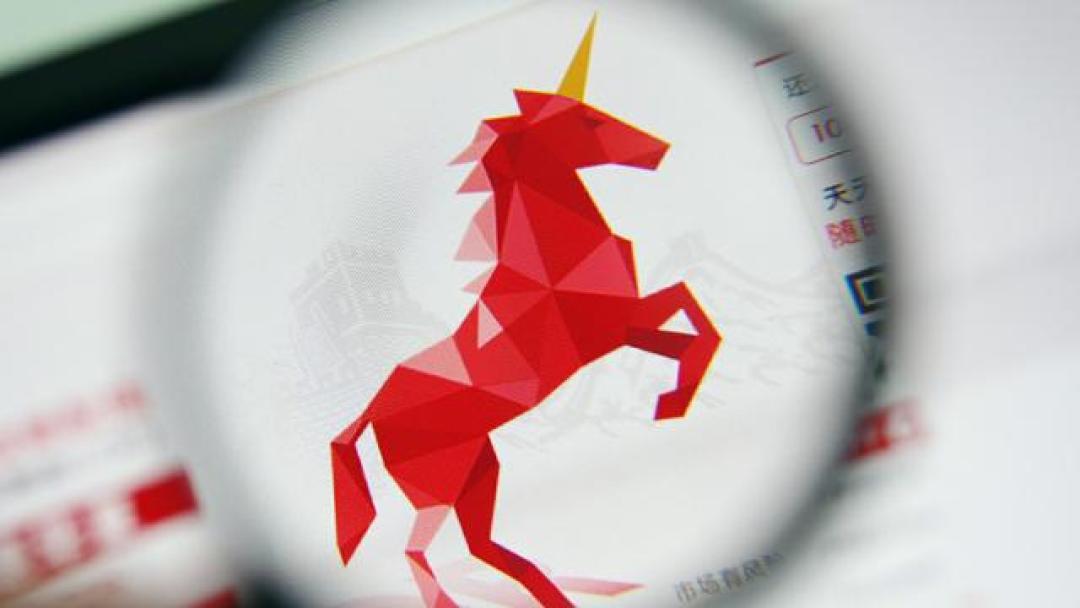 瞪羚企业:中小企业如何实现超高速增长