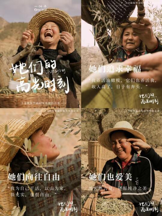 创意文案✨被一叶子的营销狠狠打动了