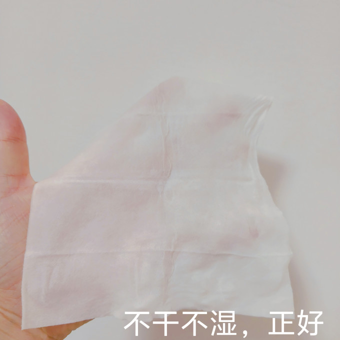 清风湿厕纸