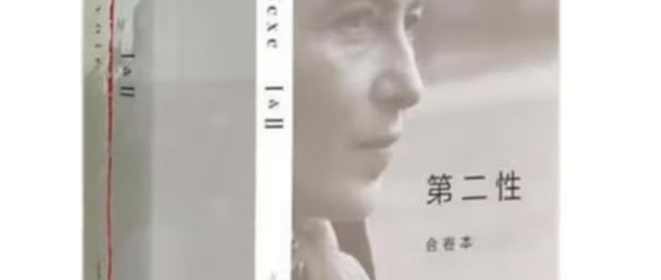 女神节的推荐书籍–《第二性》_文学研究_什么值得买