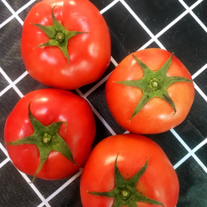 蔬菜