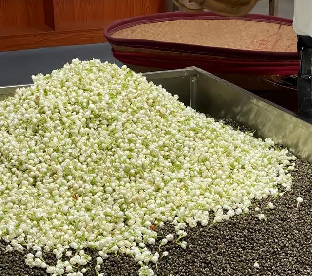 可以无脑买的茉莉花茶品牌有哪些？