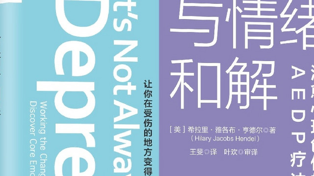 《与情绪和解》：AEDP疗法引领心灵治愈之旅