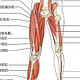 趁着春季减肥刚开始，聊聊练腿的那些事！