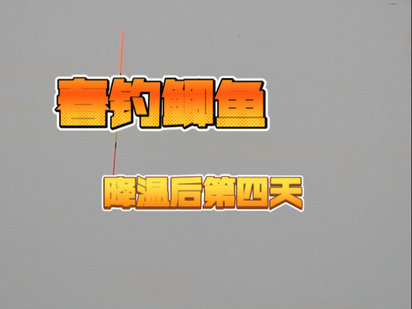 降温后的升温天气，鲫鱼好不好钓