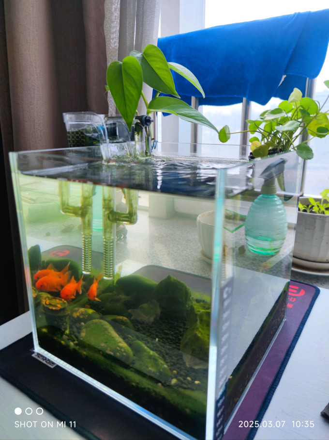 斯麦欧抹布