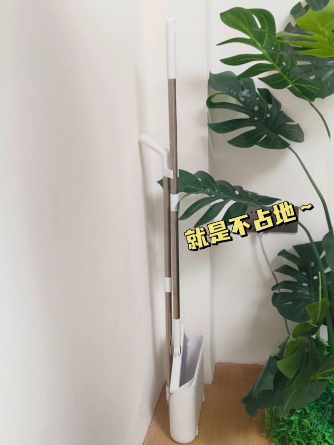宝家洁扫把
