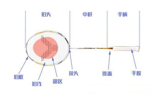 羽毛球拍怎么选？新手3分钟避坑指南，从材质到磅数一次讲清