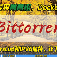 下载界常青树，Docker版qBittorrent~