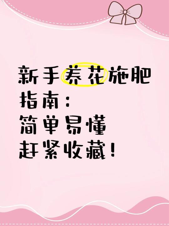 新手养花施肥指南：简单易懂，赶紧收藏！