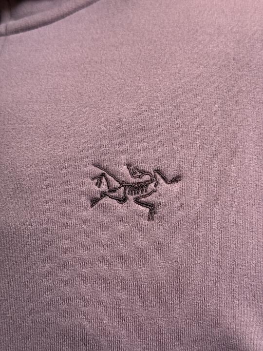 始祖鸟抓绒衫🦅星际紫