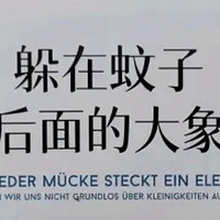 《躲在蚊子后面的大象》：解锁心灵深处的治愈力量