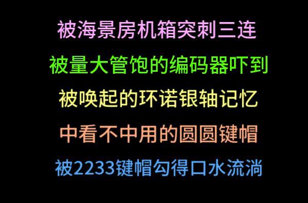 被海景房机箱三人围攻 便宜量大的鼠标编码器 环诺银轴不贵 朋克圆圆键帽 便宜的B站联名键帽~