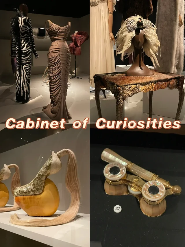 FIT逛展笔记👀The Cabinet of Curiosities