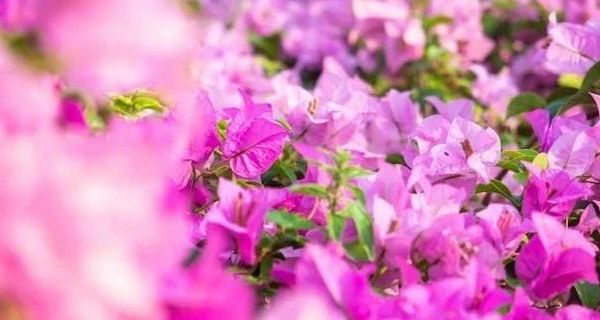 2025新款男士商务休闲皮鞋盘点：舒适软底，时尚百搭