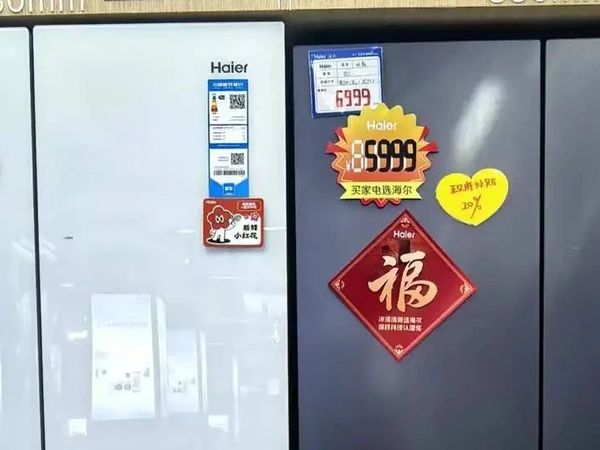 “智”选冰箱，畅享补贴——跨学科视角下的购物智慧