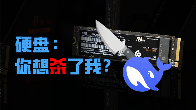 【整活】全网首个拿8T旗舰SSD跑671B Deepseek？究竟能不能成？