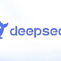 DeepSeek变现指南-学习手册（清华出品）