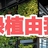 绿植杀手急救，办公族难以维持植物生存，推荐耐阴品种+简易施肥