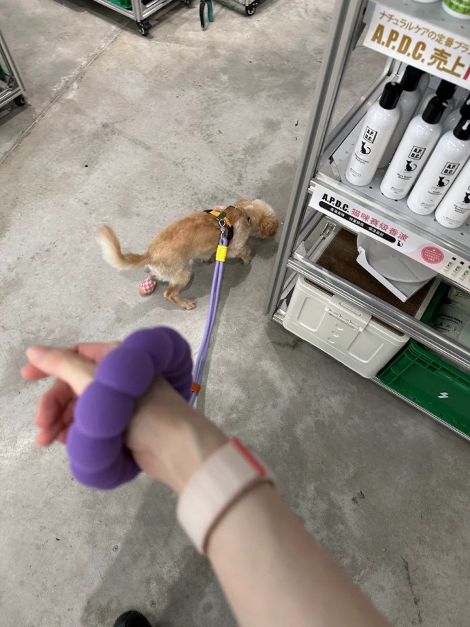 狗狗胸背/牵引