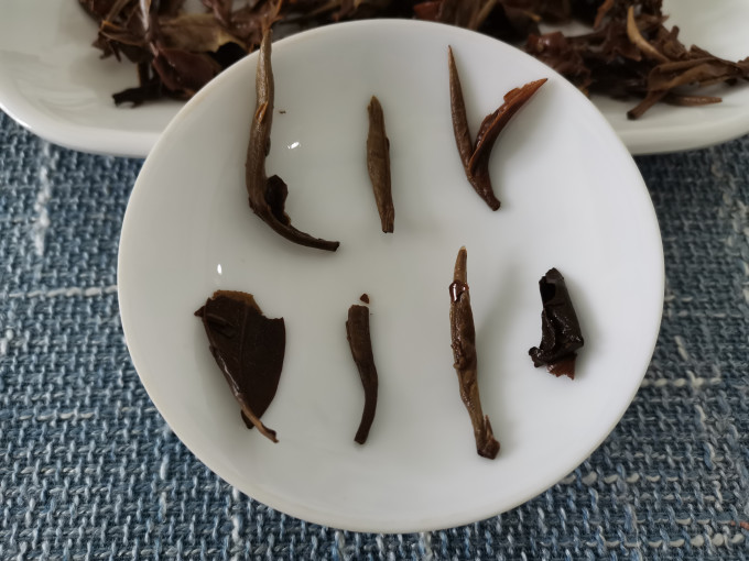 澜沧古茶茶类