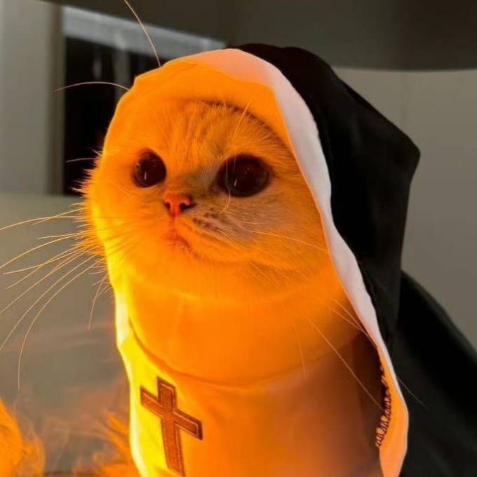 网易严选猫咪干粮