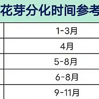 种树的最佳时间