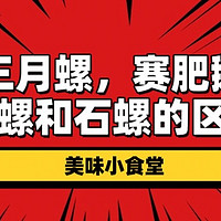 三月螺，赛肥鹅，你懂田螺和石螺的区别吗？