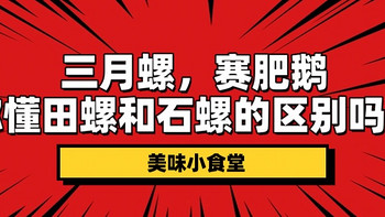 三月螺，赛肥鹅，你懂田螺和石螺的区别吗？