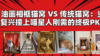 ✨艺术猫窝VS传统窝：名画与喵刚需对决✨