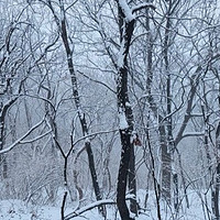 雪韵嵩山：一场难忘的亲子之旅