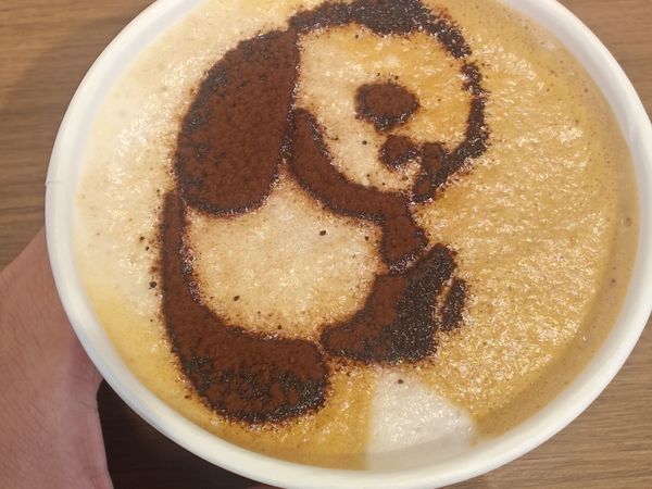 游都江堰，来杯熊猫咖啡，唤醒身体又愉悦心情