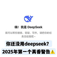 新手必看！DeepSeek教程