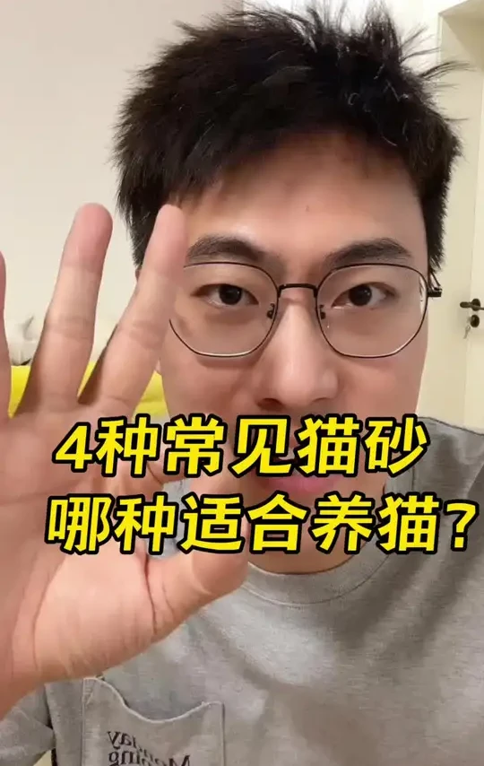 4种常见猫砂，哪种适合养猫？#猫砂测评  #星宴矿砂 #豆腐猫砂 #矿砂猫砂 #膨润土猫砂
