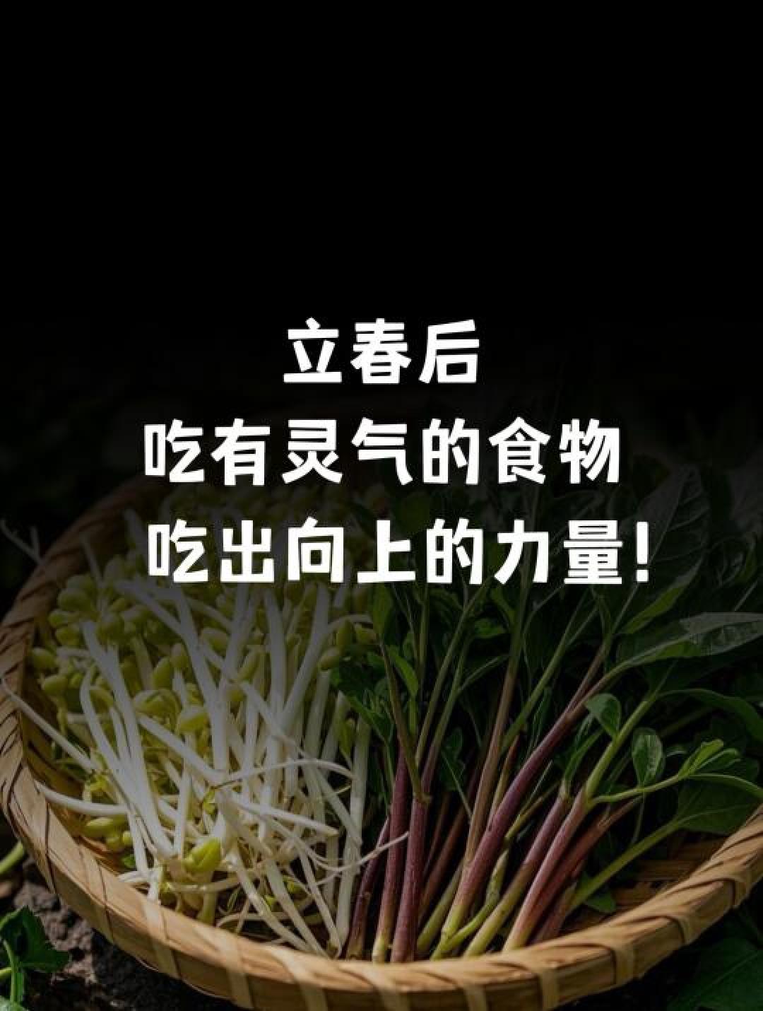 咬春正当时!野菜嫩芽入膳,吃出古法养生里的蓬勃元气