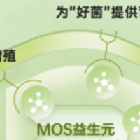 肠道调理好帮手！深扒Jarrow布拉迪酵母菌安全性与有效性