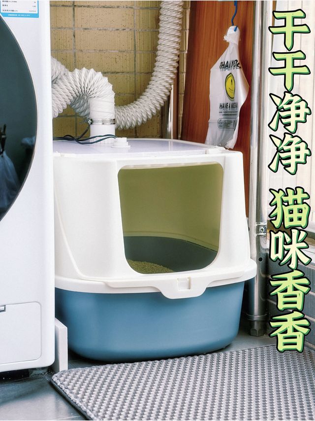 回南天短暂结束，马上洗刷刷猫砂盆，换新猫砂！
