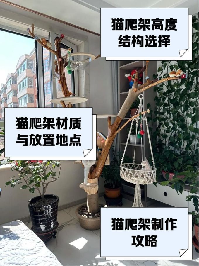 御宠坊猫玩具