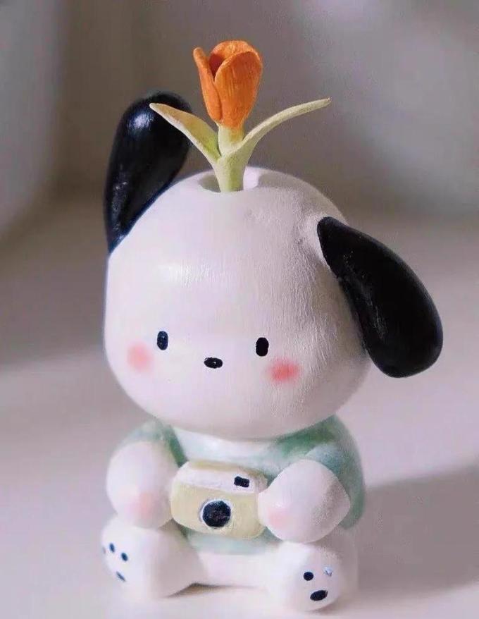 苹果保护壳