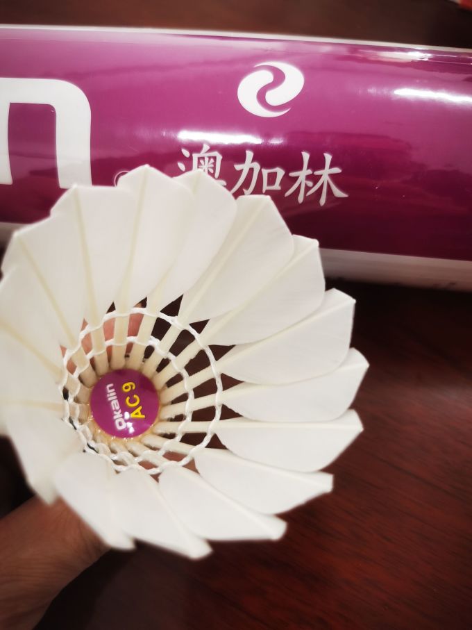 威健羽毛球