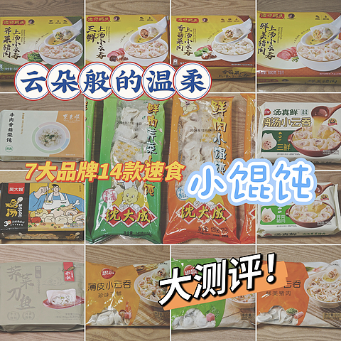 云朵般的温柔 ——7大品牌14款速食小馄饨测评