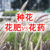 种花，花肥VS花药