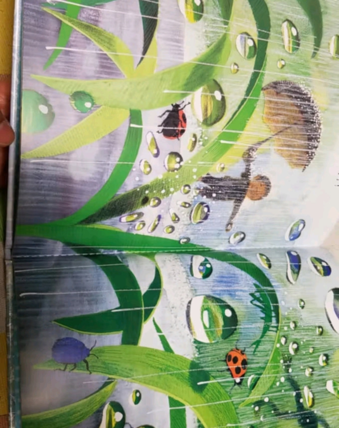 河北教育出版社绘本/图画书