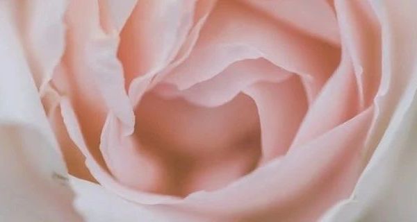 2025年儿童秋装牛仔外套观察：设计革新与实用性能解析