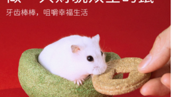 🐹仓鼠磨牙好物大揭秘，你 get 了吗？