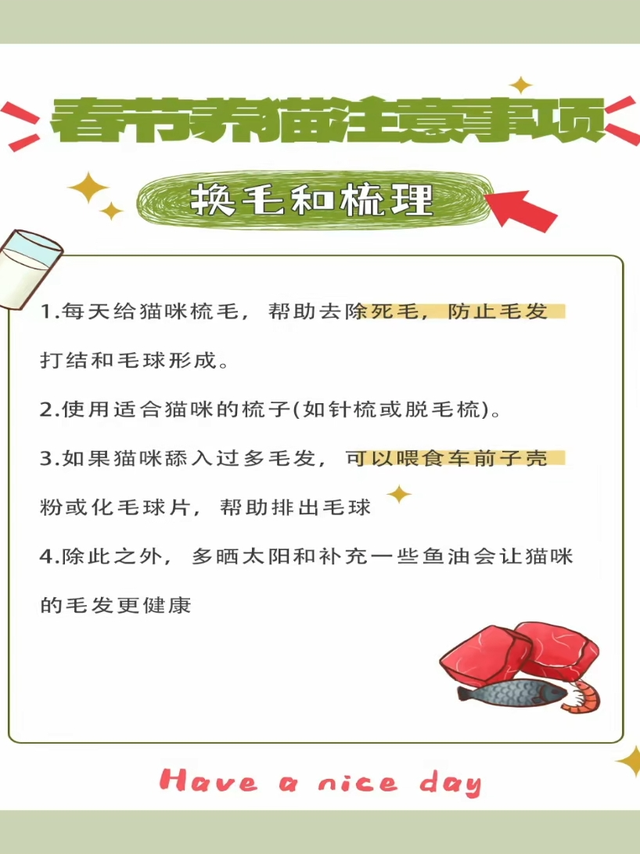 春季养猫注意事项