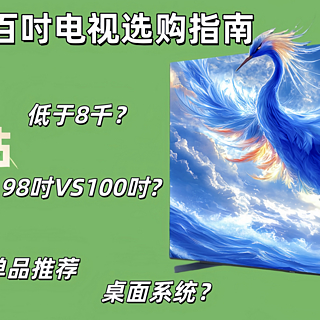 百吋电视选购指南：一文搞懂屏幕技术、尺寸、系统、安装和国补